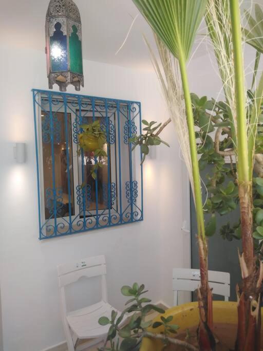 Cosy Appartement In "Sidi Bou Said" Ngoại thất bức ảnh