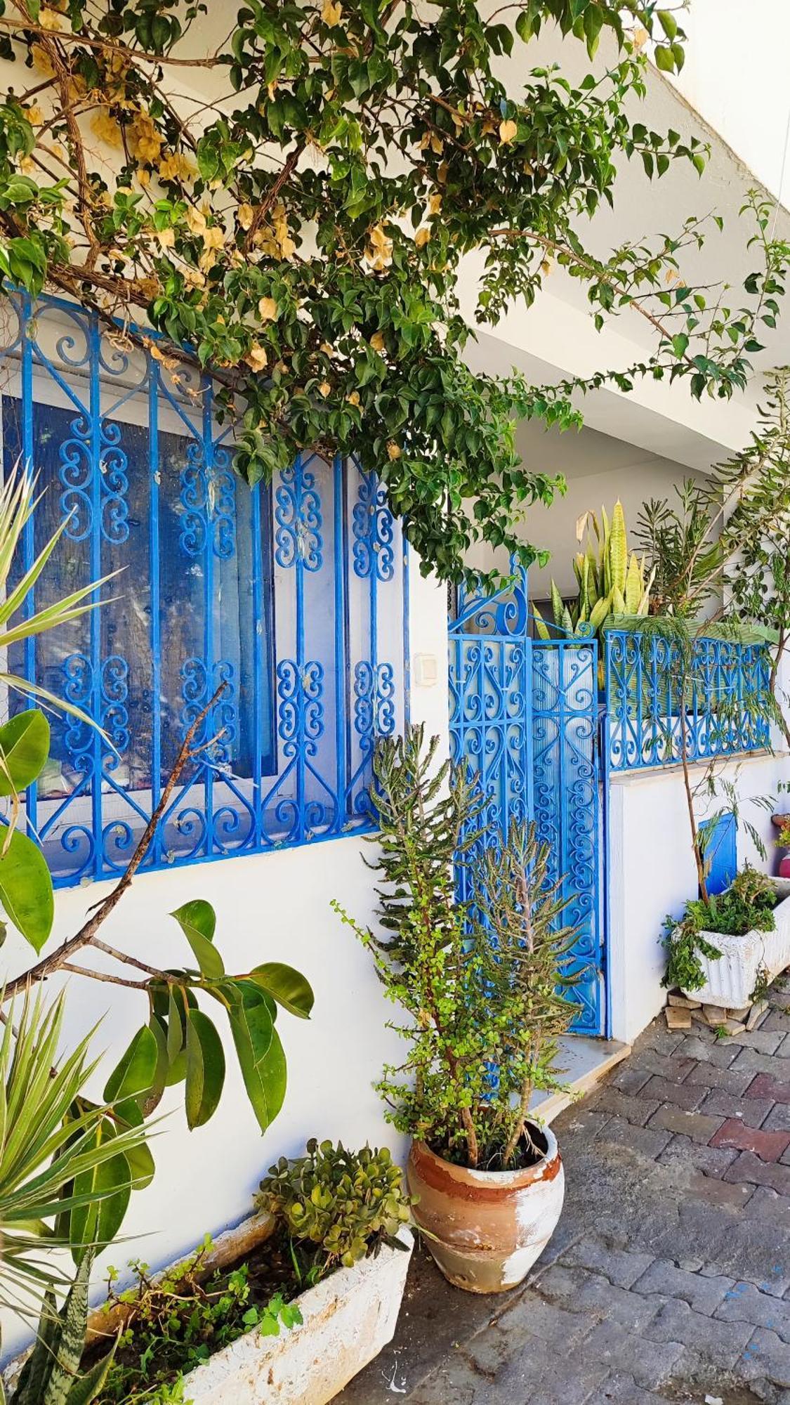 Cosy Appartement In "Sidi Bou Said" Ngoại thất bức ảnh