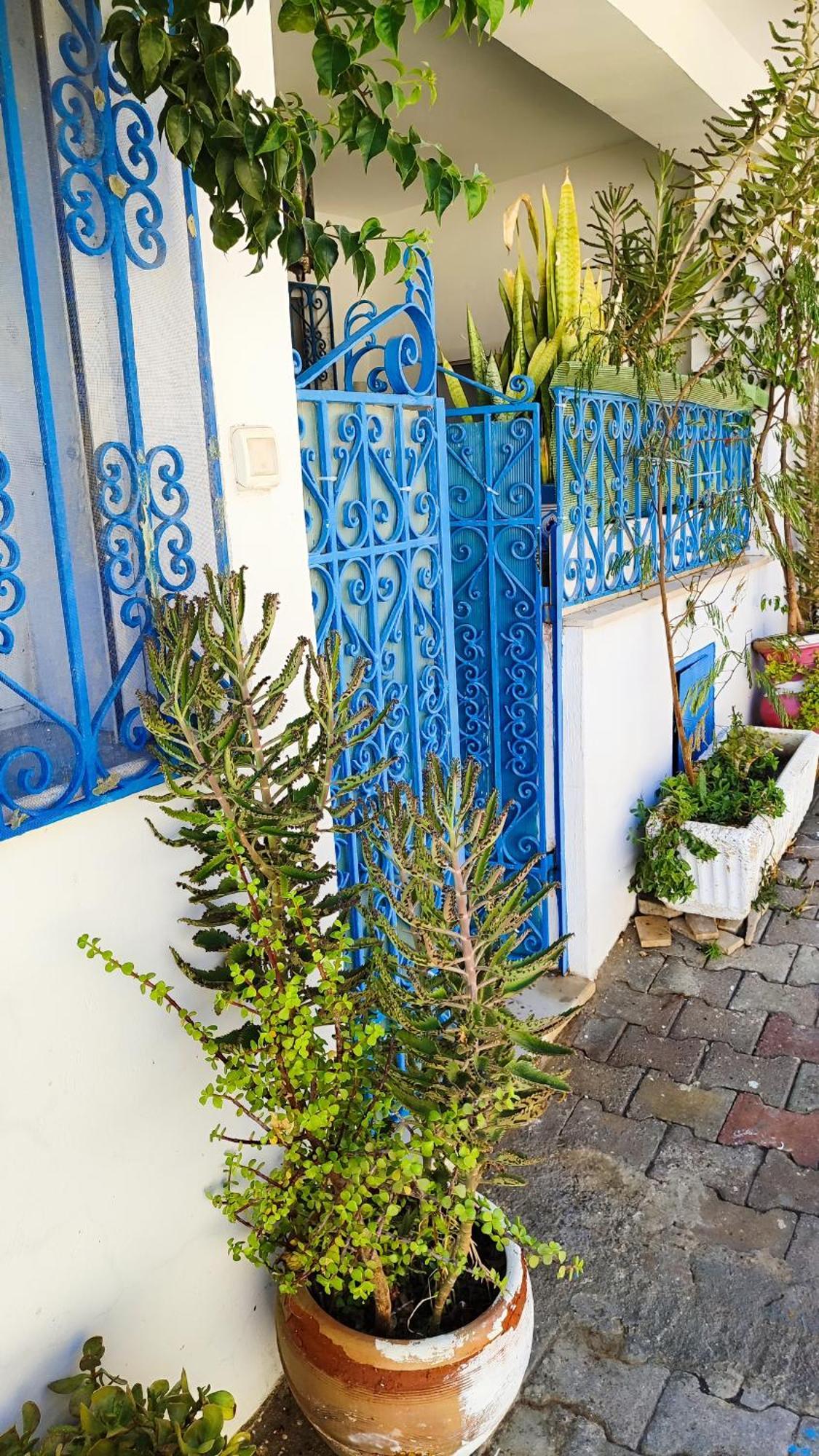 Cosy Appartement In "Sidi Bou Said" Ngoại thất bức ảnh